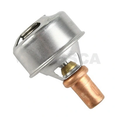 Thermostat, coolant (12620)