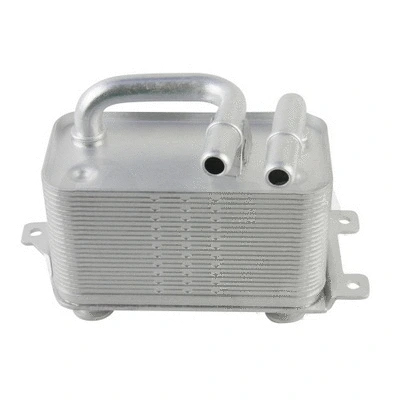 Oil Cooler, engine oil (14438)