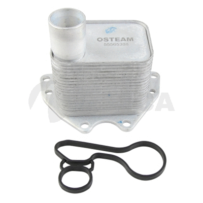 Oil Cooler, engine oil (23856)