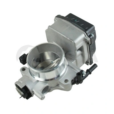 Throttle Body (18445)