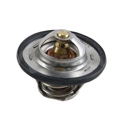 Thermostat, coolant (42492)