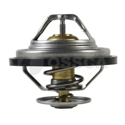 Thermostat, coolant (12665)