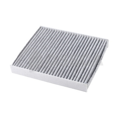 Air Filter (53983)