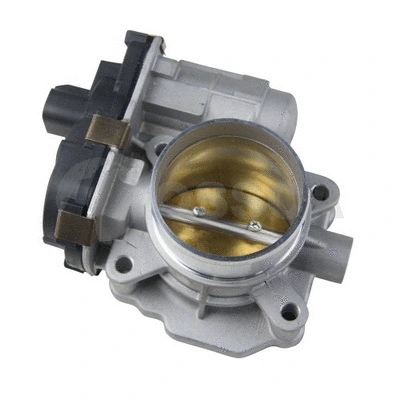 Throttle Body (26201)