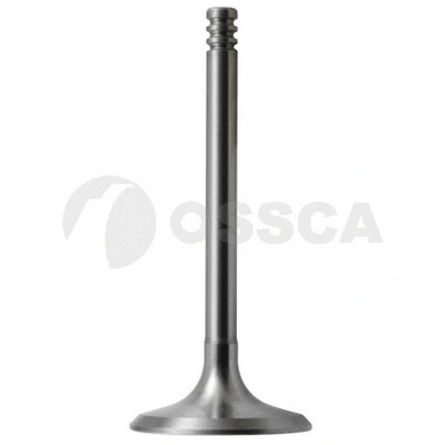 Intake Valve (01876)