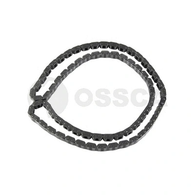 Timing Chain (51081)