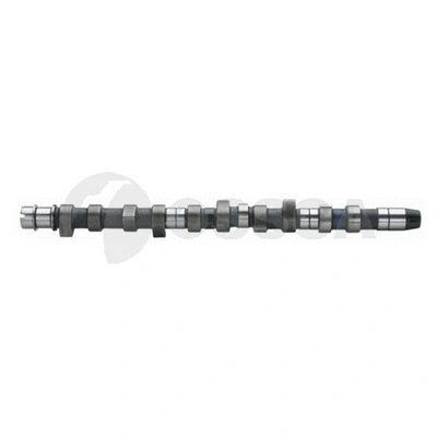 Camshaft (09909)