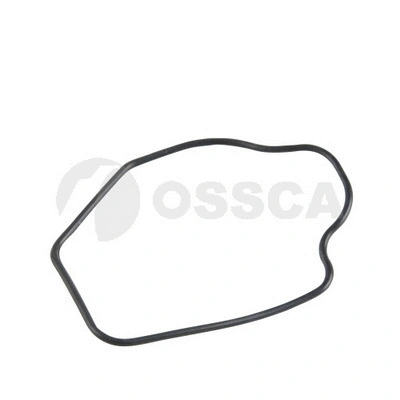 Seal, thermostat (12865)