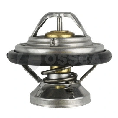 Thermostat, coolant (00006)