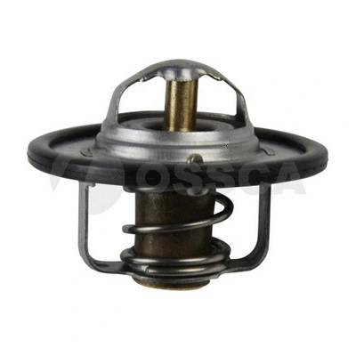 Thermostat, coolant (41700)