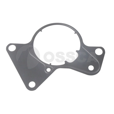 Gasket, vacuum pump (63747)