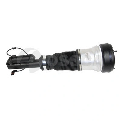 Air Suspension Strut (21731)