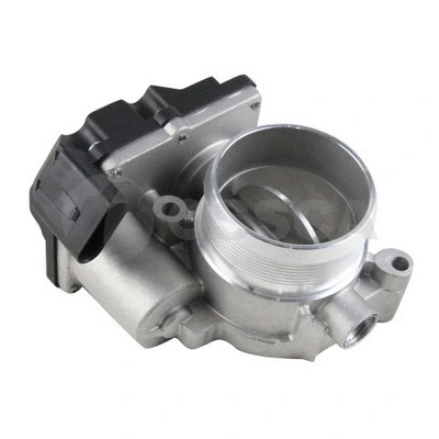Throttle Body (48366)