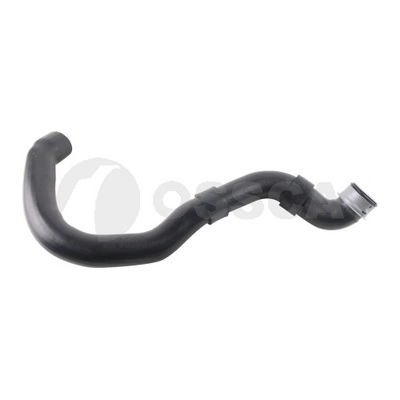 Radiator Hose (67736)