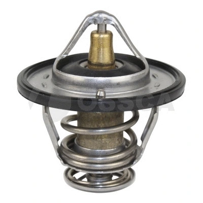 Thermostat, coolant (05419)
