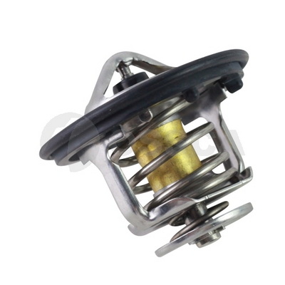 Thermostat, coolant (43910)