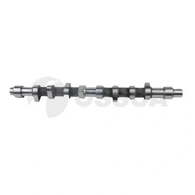 Camshaft (11101)