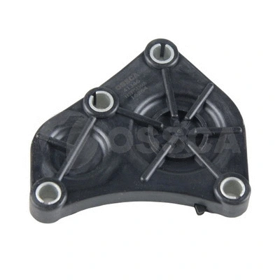 Locking Cover, camshaft (41346)