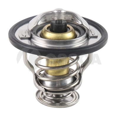 Thermostat, coolant (20202)