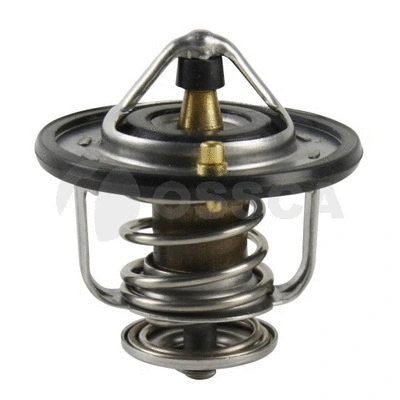 Thermostat, coolant (49358)