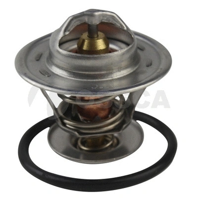 Thermostat, coolant (05193)