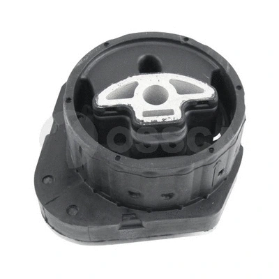 Mounting, transfer case (51023)