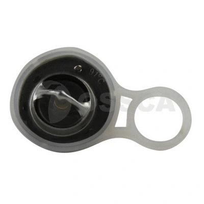 Thermostat, coolant (16457)