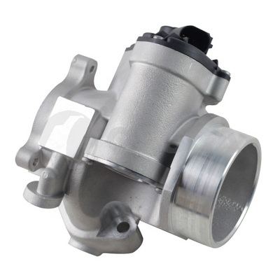 EGR Valve (40440)