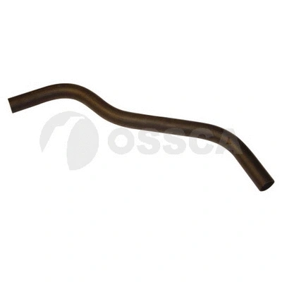 Radiator Hose (01667)