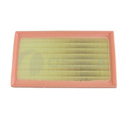 Air Filter (41242)