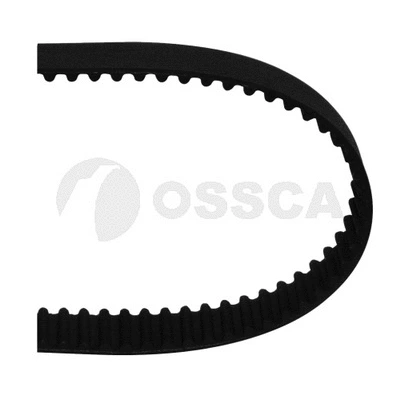 Timing Belt (01916)