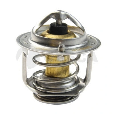 Thermostat, coolant (14218)