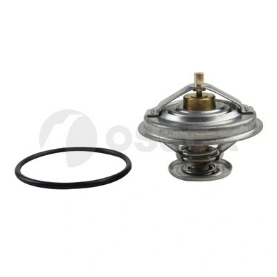 Thermostat, coolant (14185)