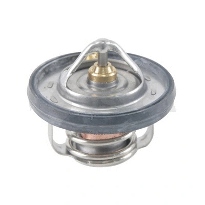 Thermostat, coolant (64050)