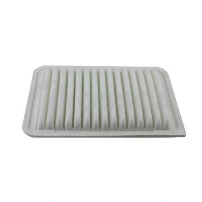 Air Filter (11021)
