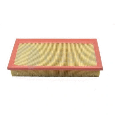 Air Filter (09843)