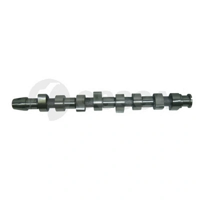 Camshaft (04099)