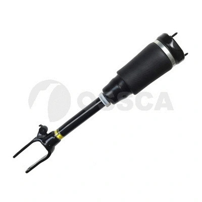 Air Suspension Strut (25950)