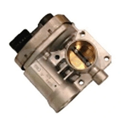Throttle Body (14304)