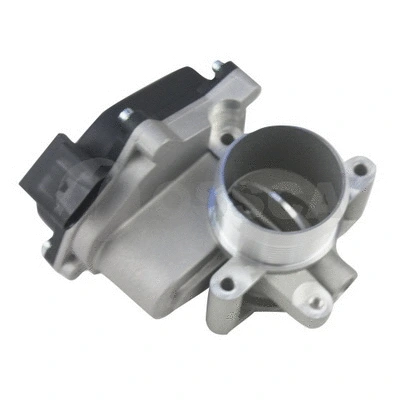Throttle Body (28163)