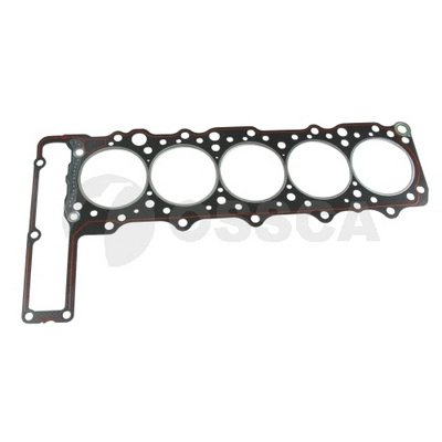 Gasket, cylinder head (45200)