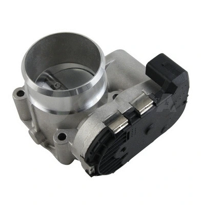 Throttle Body (11401)
