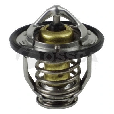 Thermostat, coolant (15809)