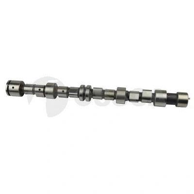 Camshaft (15861)