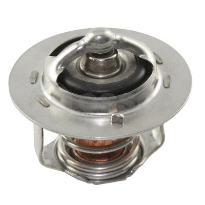 Thermostat, coolant (06066)