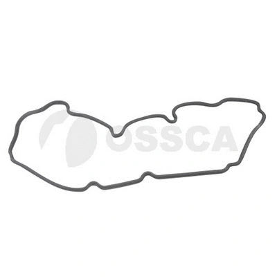 Gasket Set, cylinder head cover (16721)