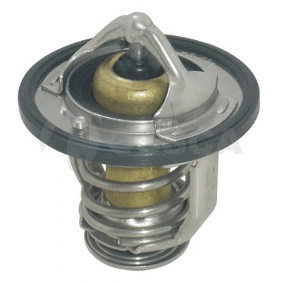 Thermostat, coolant (10569)