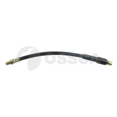 Brake Hose (21805)