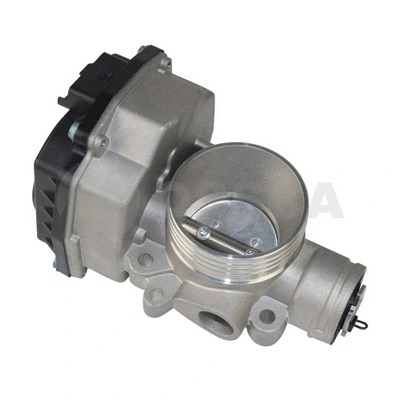 Throttle Body (13856)