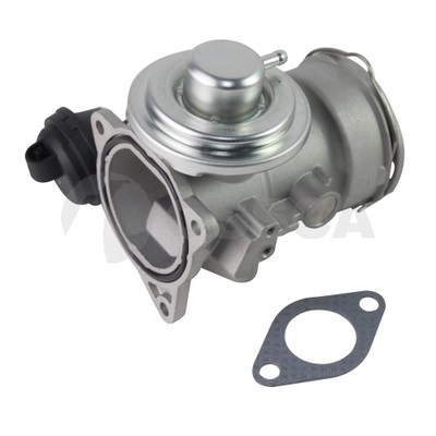 Valve, exhaust gas recirculation (25036)